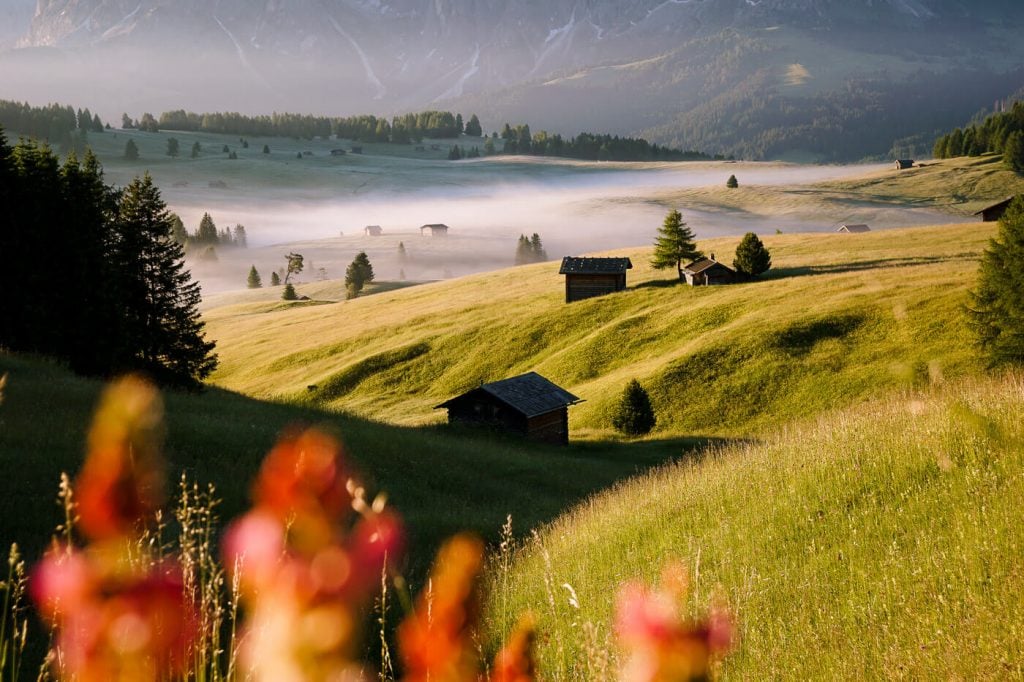 Alpe di Siusi Meadows, Dolomites, Italy