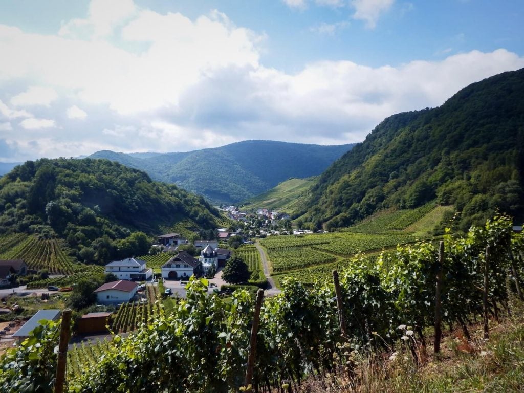 Ahr Valley Wine Region, Germany