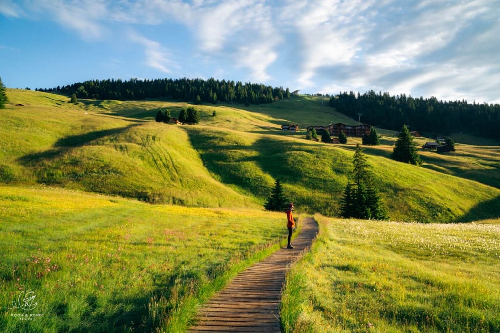 Alpe di Siusi Meadows, Dolomites