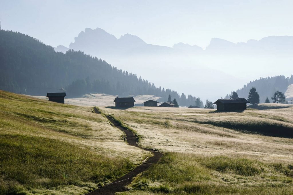 Alpe di Siusi morning walk, Dolomites