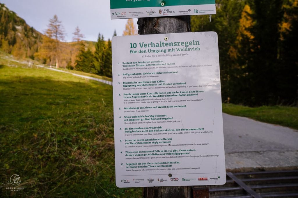 Alpine Pasture Rules, Salzburg, Austria