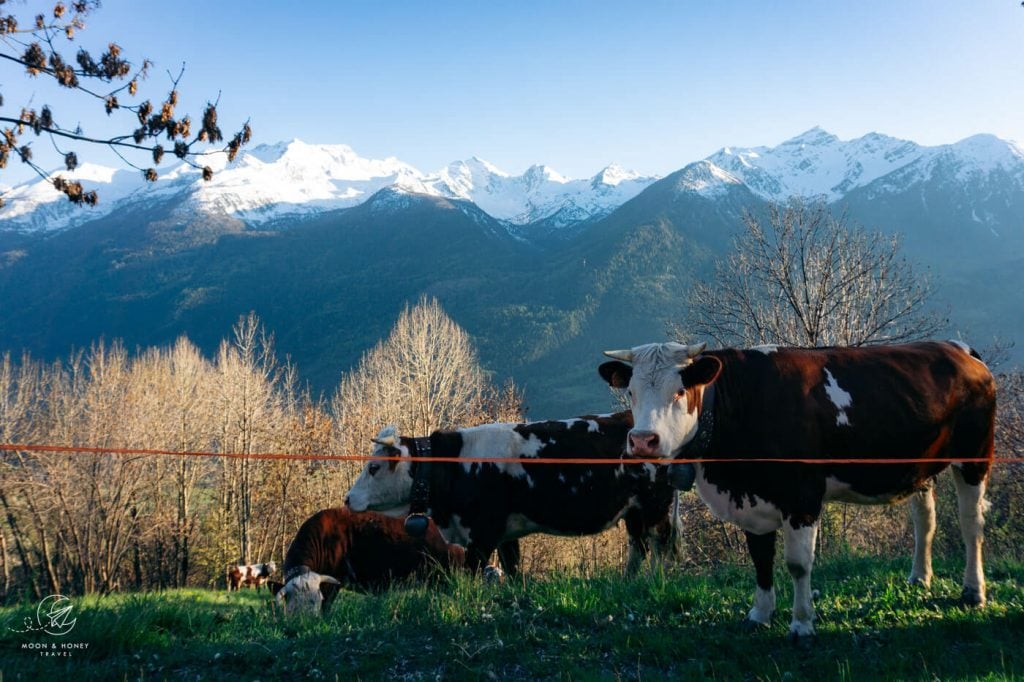 La Salle, Aosta Valley, Northern Italy