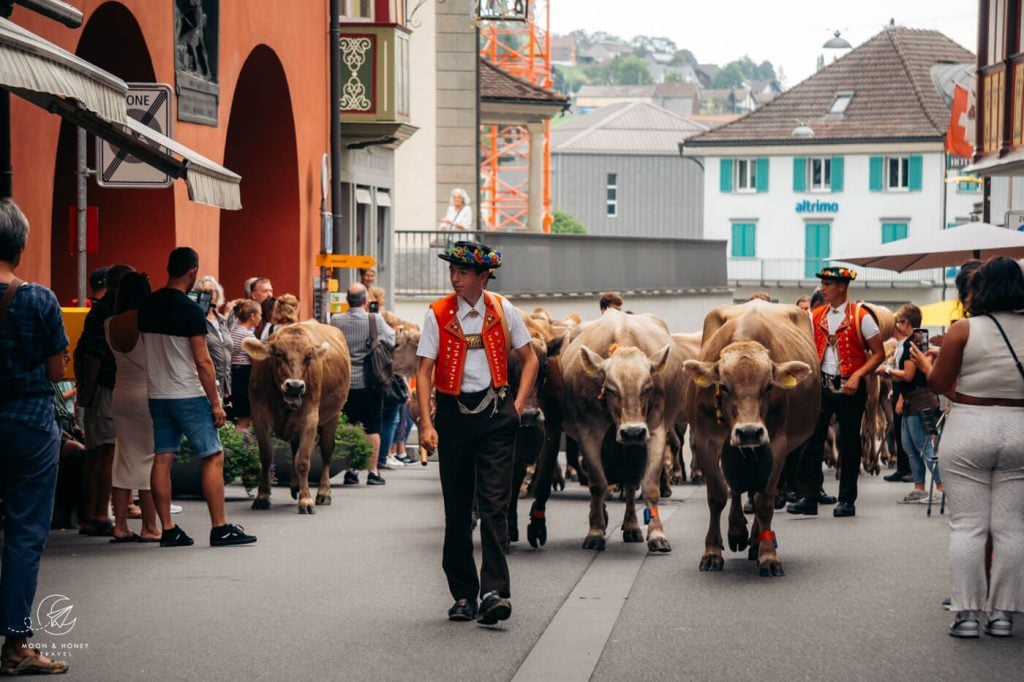 Alpabzug Cattle Drive Descent in Appenzellerland, Switzerland