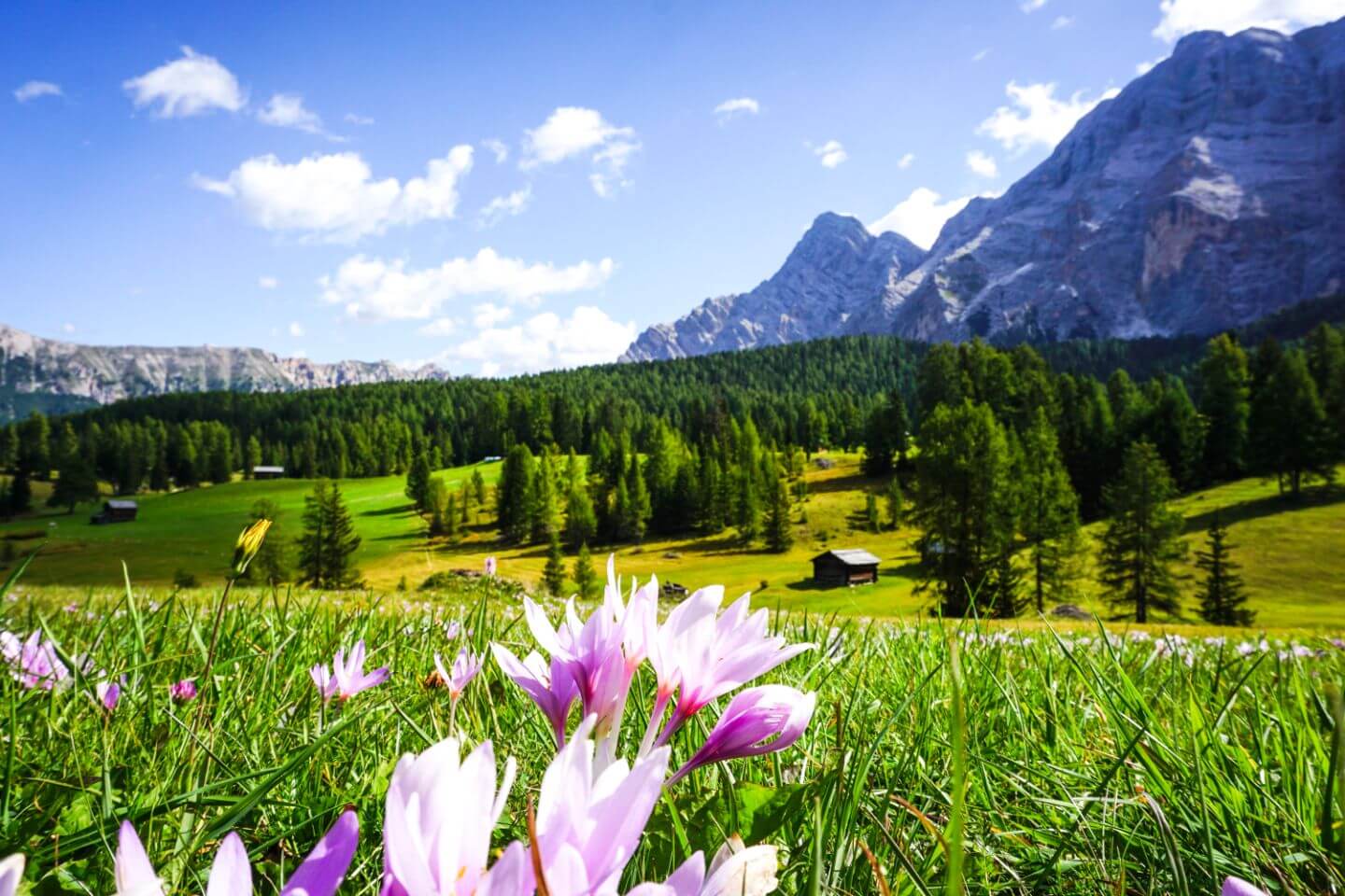 Armentara Plateau, Badia, Dolomites, Italy