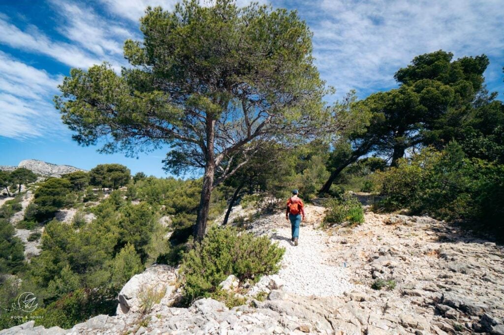 Calanque d'En Vau  Sentier Panoramique, Calanques National Park, France