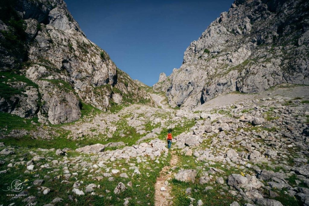 Canal de Amuesa, Picos de Europa Mountains, Spain