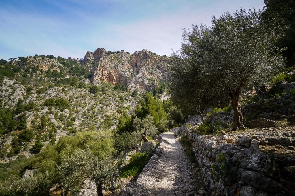 Camí Vell, Tramuntana Mountains, Mallorca