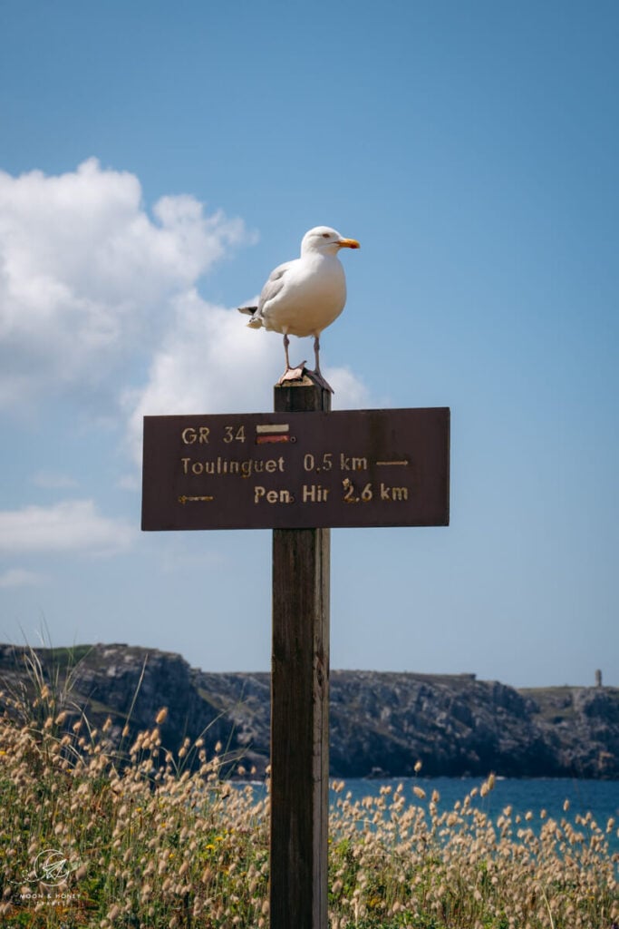 Crozon Peninsula coastal trail, Brittany, France