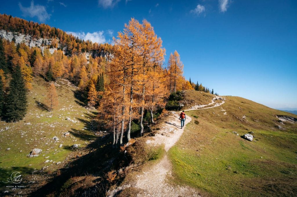 Planina Lipanca in October, Slovenia