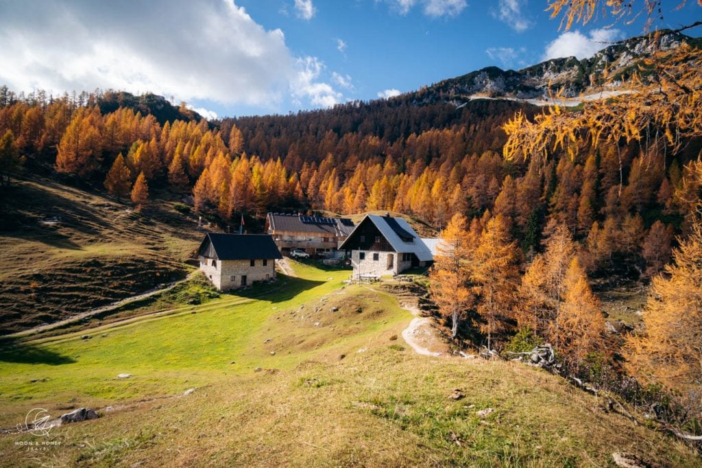 Bled Hut, Blejska Koča na Lipanci, Slovenia