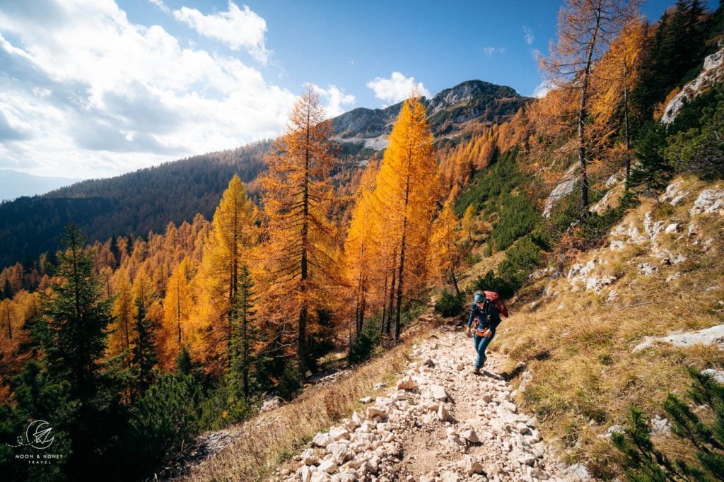 Blejska koča na Lipanci to Brda hiking trail, Julian Alps, Slovenia