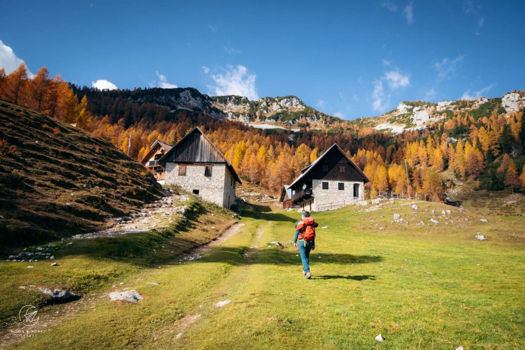 Planina Lipanca mountain pasture, Julian Alps, Slovenia