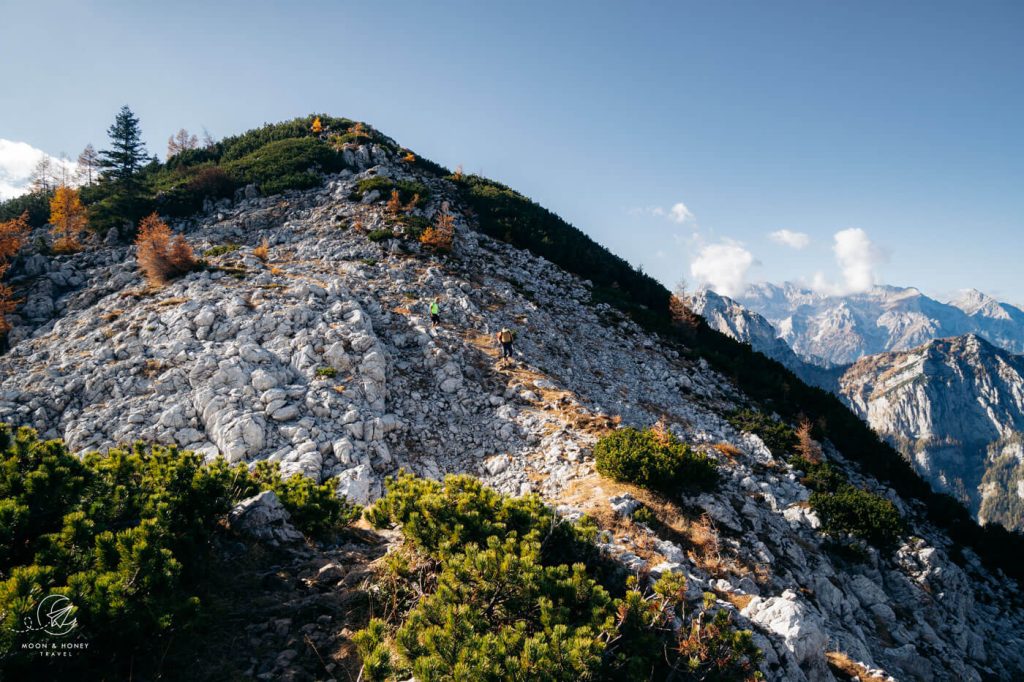 Brda to Debela Pec hiking trail, Julian Alps, Slovenia