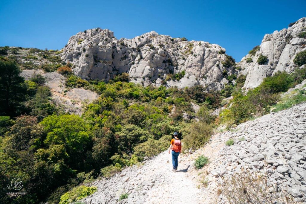 Col des Charbonniers to Col de la Candelle hiking trail, GR 98-51, Marseille, France