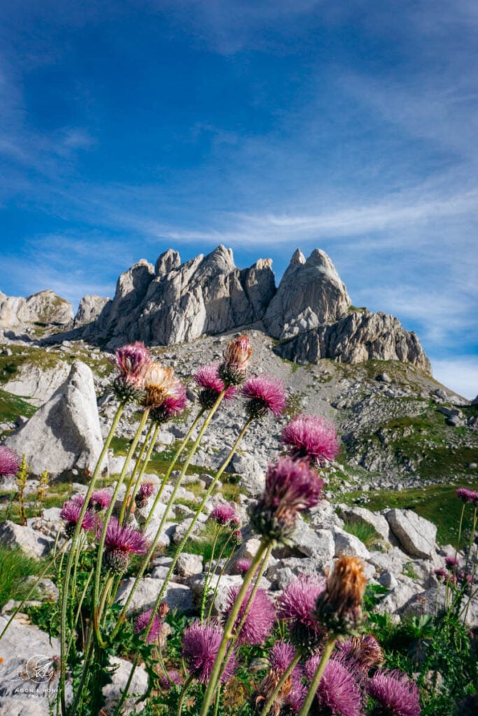 Durmitor National Park mountains, Montenegro