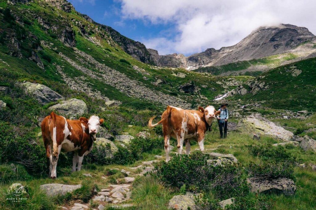 Wanderung vom Schlegeisspeicher zum Friesenberghaus, Zillertaler Alpen, Österreich