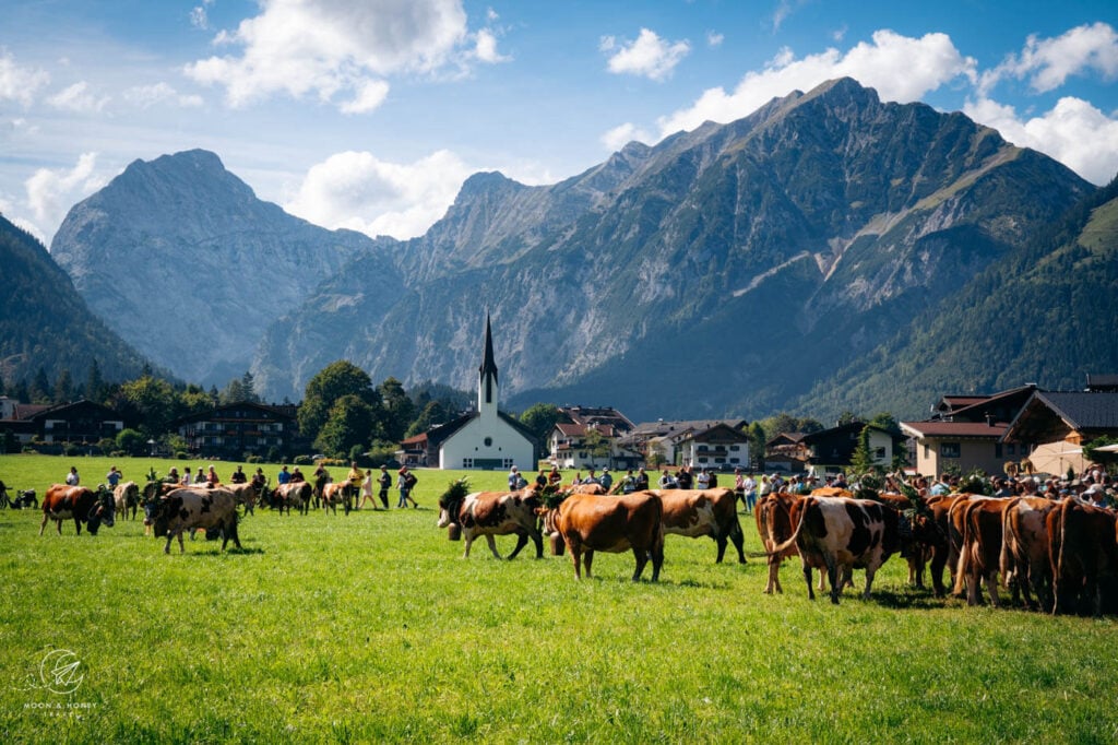 Pertisau, Lake Achensee, Tyrol, Austria