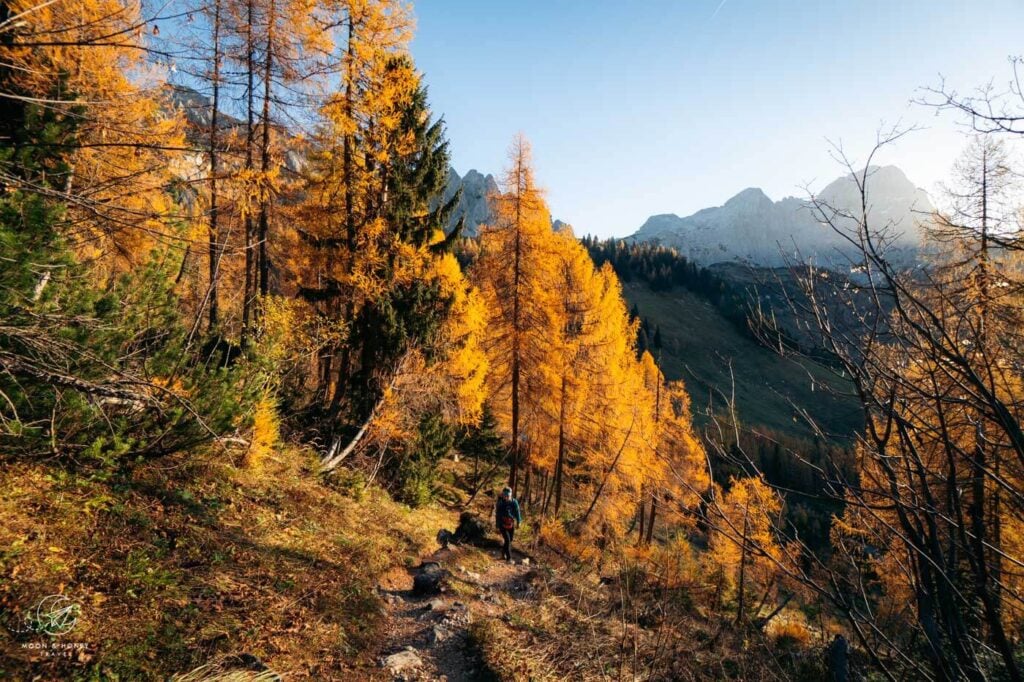 Hofalm zur Hofpürglhütte Wanderung, Dachstein, Österreich