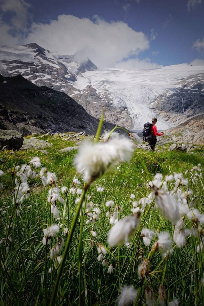 Venediger Group, Hohe Tauern National Park