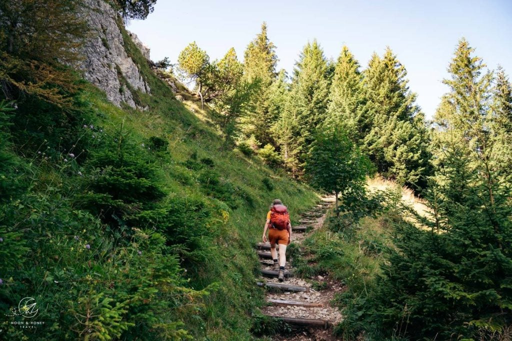 Wenneli to Berggasthaus Staubern hiking trail, Alpstein, Switzerland