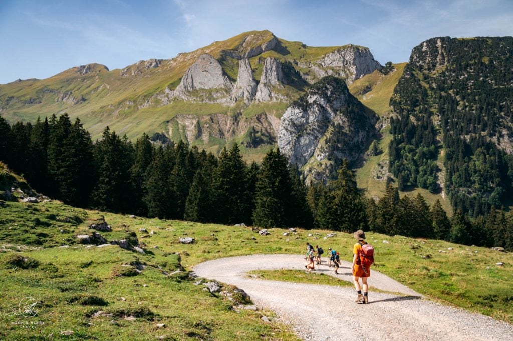 Berggasthaus Bollenwees to Plattenbödeli farm road, Alpstein, Switzerland