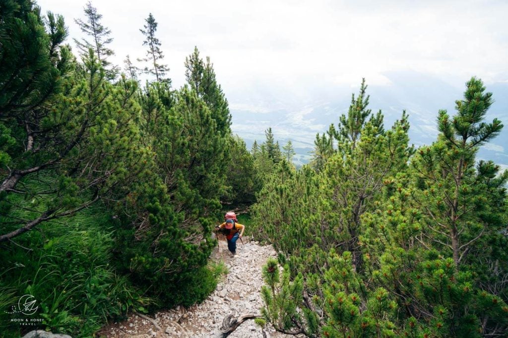 Hundskopf Hiking trail, Karwendel Mountains, Gleirsch-Halltal Chain, Tyrol, Austria