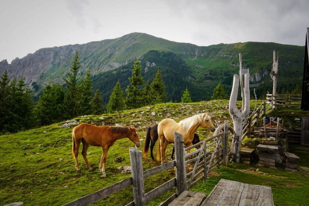 Dom Na Kofcah, Kofce Mountain Hut, Slovenia