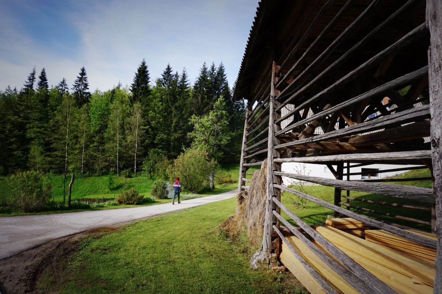 Traditional hayrack barn, Koprivnik v Bohinju, Pokljuka Plateau Slovenia