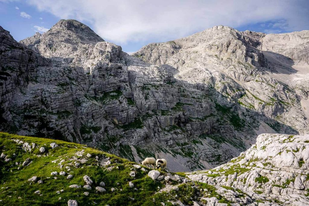 Kriških podih, Julian Alps