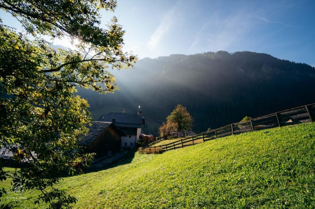 Les Dolomites Mountain Lodges meadow view