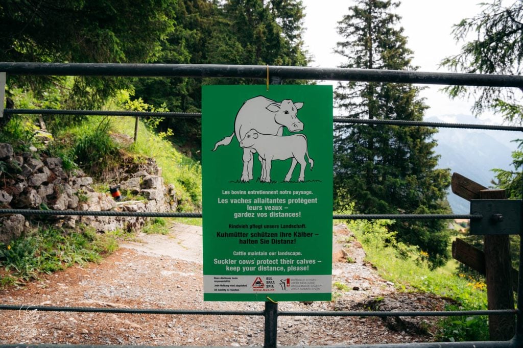 Liechtenstein Mountain Pasture sign