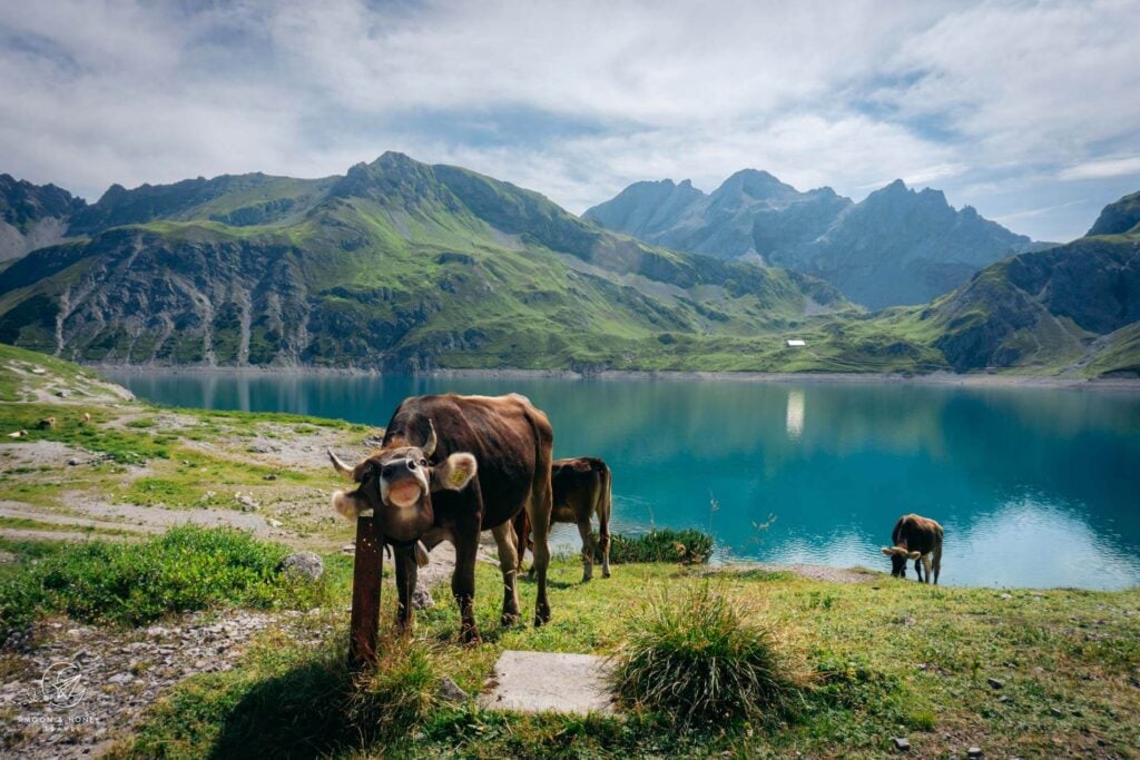 Lake Lünersee Alm, Vorarlberg, Austria