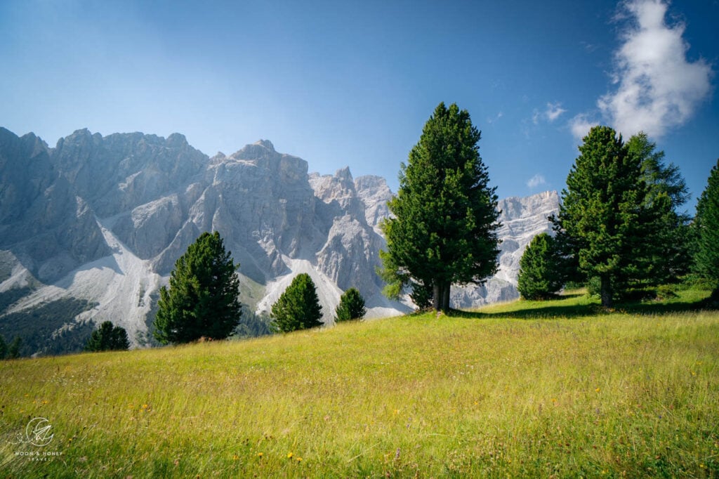  Ütia Ciampcios Mountain Pasture, Puez-Odle Nature Park, Dolomites