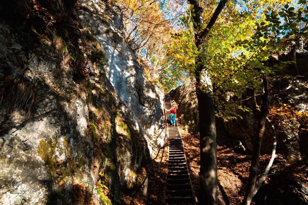 Mala Osojnica staircase trail, Lake Bled, Slovenia