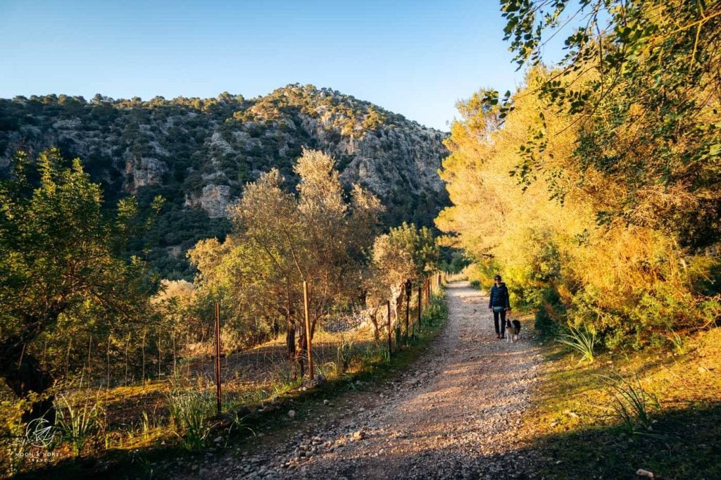 Hiking in Valldemossa, Mallorca, Spain