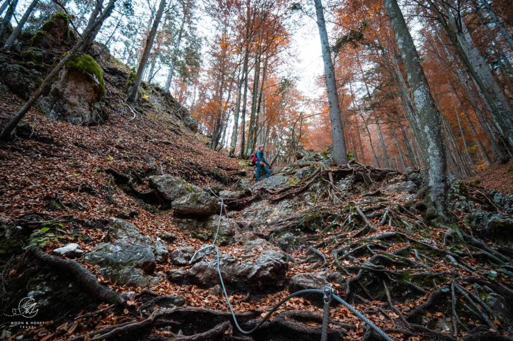 Lower Martuljek Waterfall to Upper Martuljek Waterfall hiking trail, Slovenia