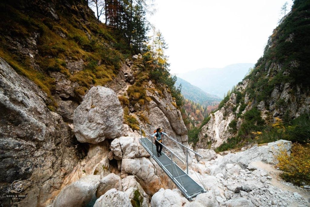 Bridge to Upper Martuljek Waterfall, Julian Alps, Slovenia