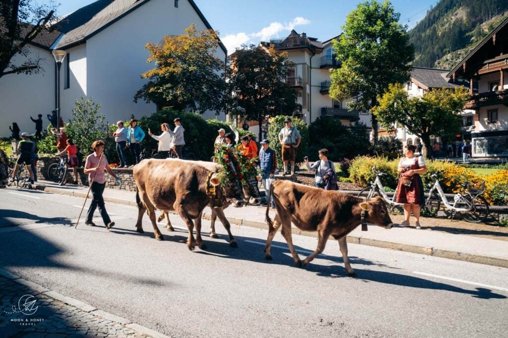 Mayrhofen Almabtrieb, Austria