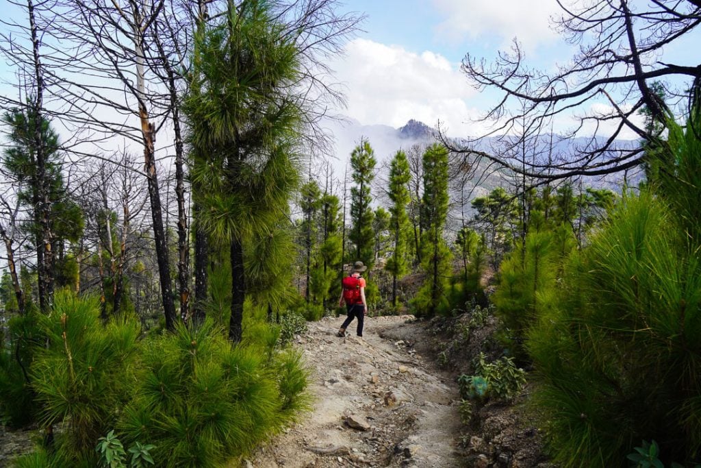 Montaña de Altavista Hike, Gran Canaria