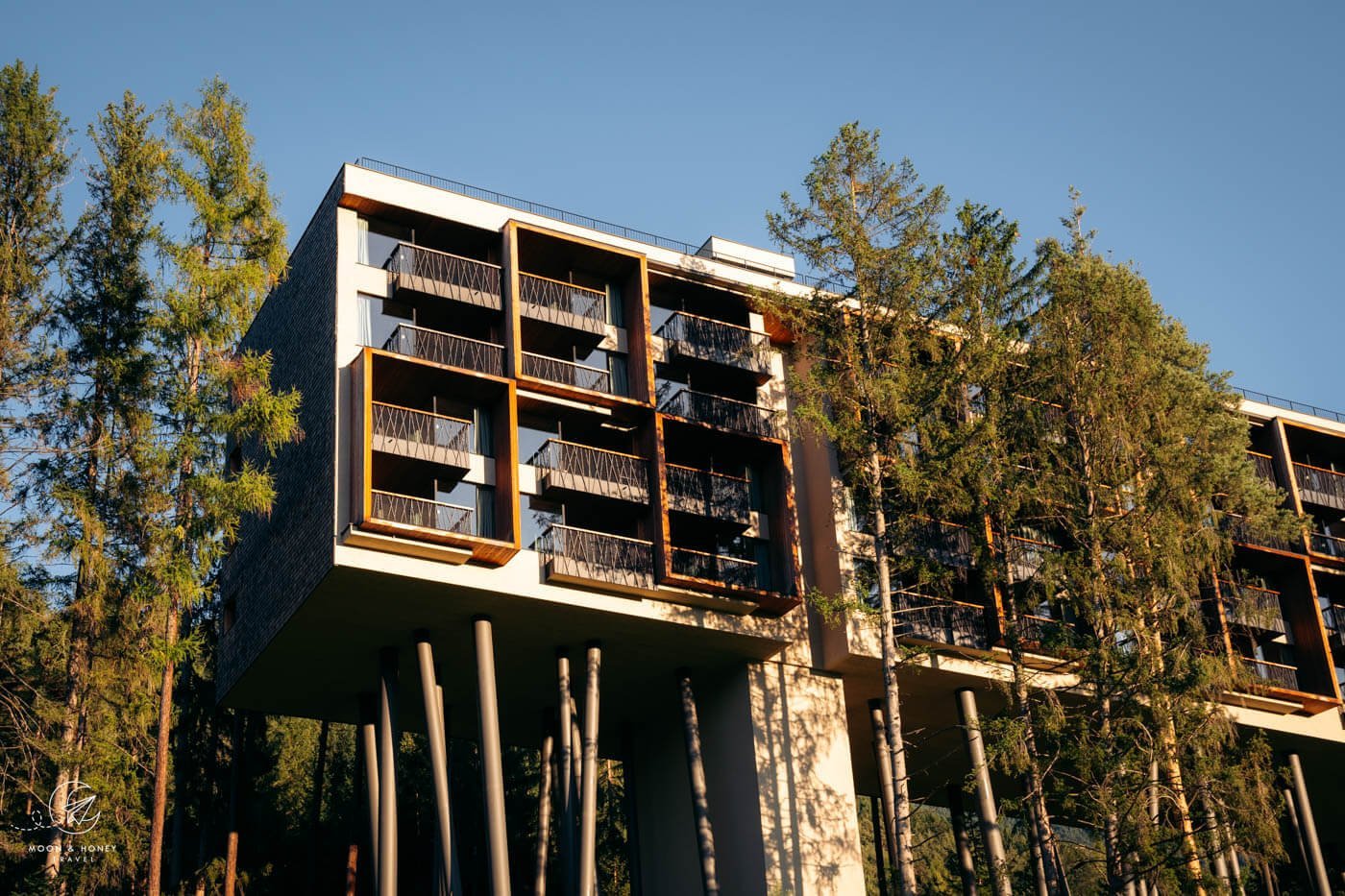 My Arbor Plose Wellness Hotel, Tree Hotel in South Tyrol, Italy