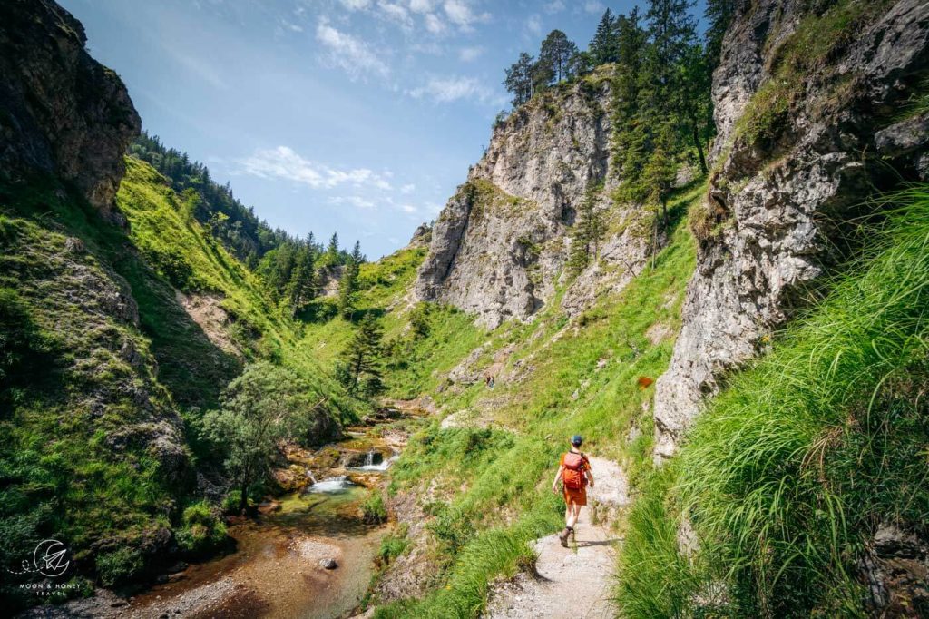 Ötschergräben Canyon Walls, Ötscher-Tormäuer Nature Park, Austria