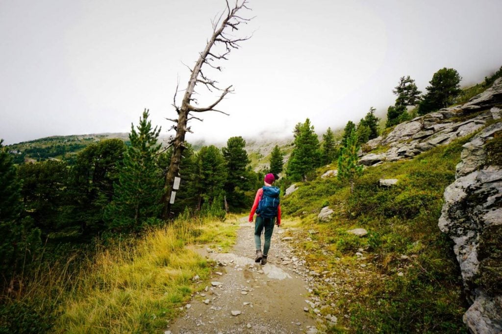 Stone Pine Path, Short Walk from Patscherkofelbahn to Glungezerbahn