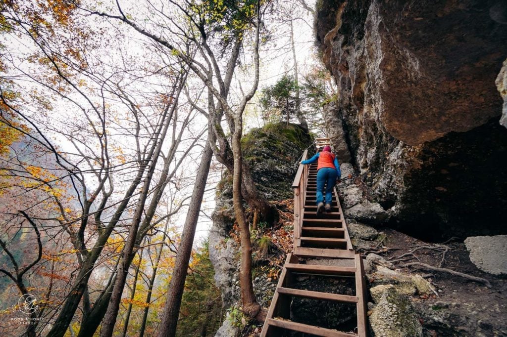 Staircase ladder trail to the Upper Peričnik Waterfall (Zgornji Slap), Slovenia