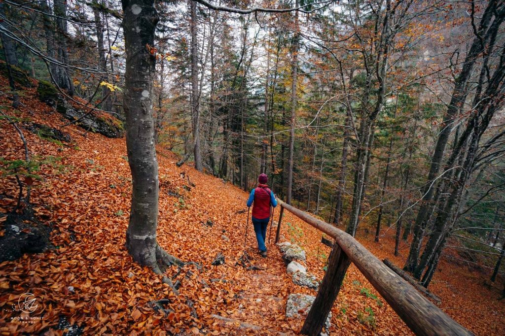 Pericnik Waterfall Forest Hiking Trail, Vrata Valley, Slovenia