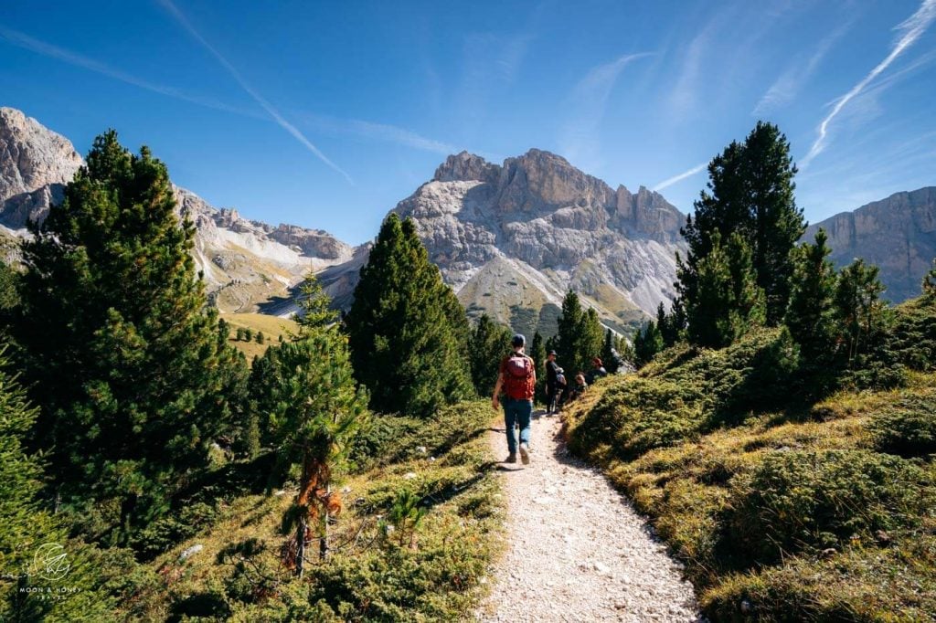 Pieralongia to Rifugio Firenze hiking trail, Seceda circuit hike, Dolomites