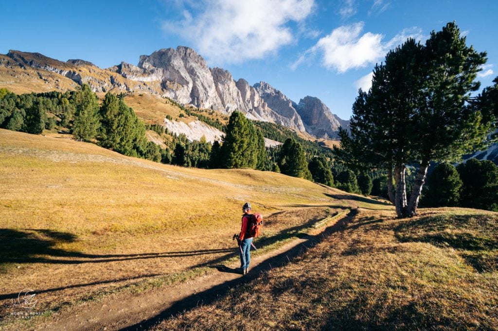 Puez-Odle Nature Park, Col Raiser, Dolomites