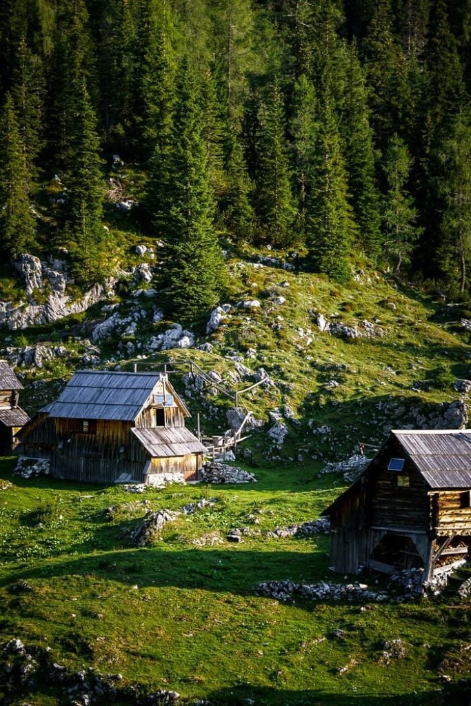 Dedno Polje Alpine Pasture, Slovenia