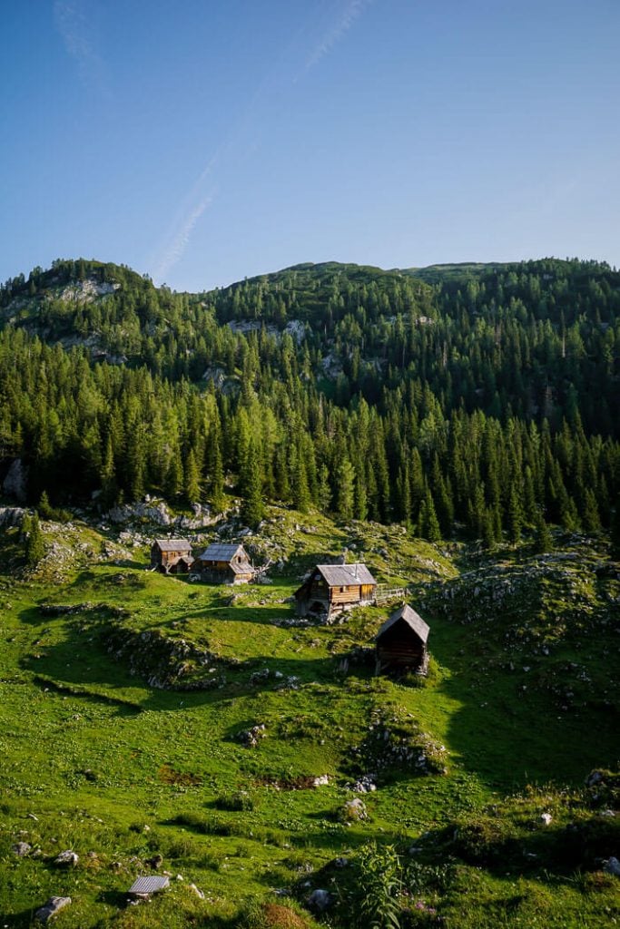 Dedno Polje Mountain Pasture, Julian Alps, Slovenia