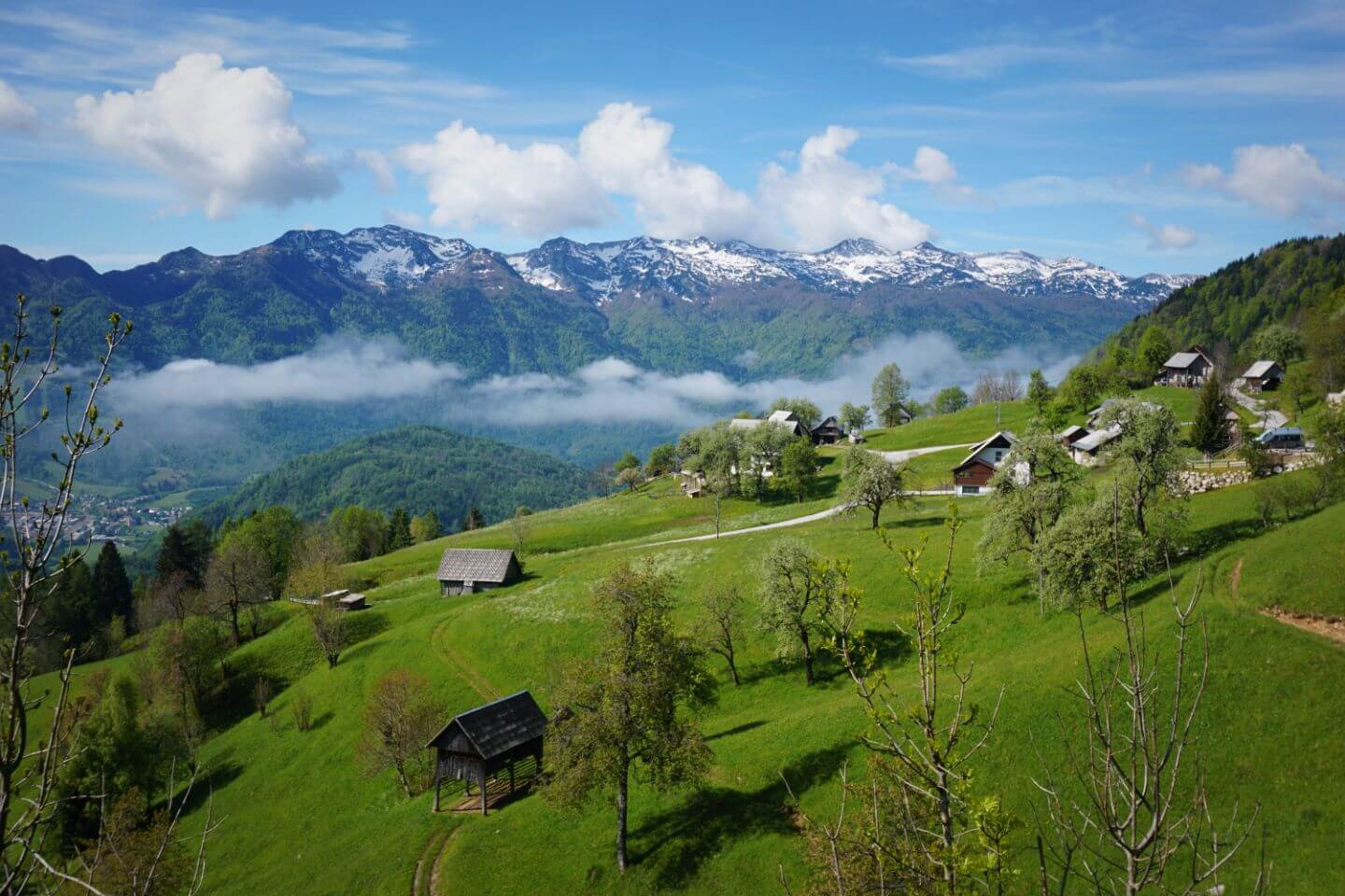 Podjelje, Pokljuka Plateau, Slovenia - top places to see in Pokljuka