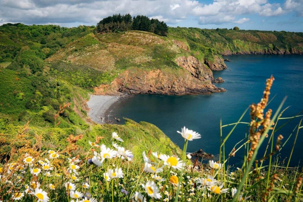 La Route des Falaises, Pointe de Pors Pin,  Paimpol, Bretagne, Frankreich